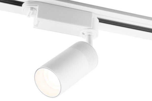 Ceiling lamp ELEKTROSTANDARD Riffe