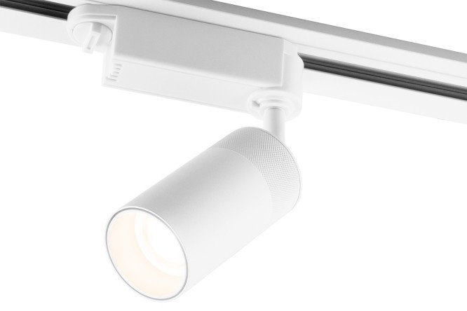 Ceiling lamp ELEKTROSTANDARD Riffe