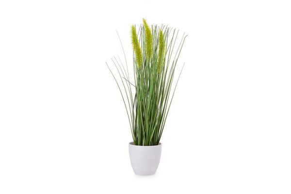Artificial plant Decorative cane in a pot 16x16 cm