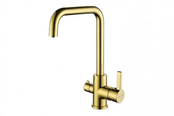 Kitchen mixer PAULMARK Logas Lo213021-G