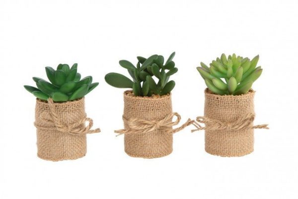 Set of artificial plants in a pot Succulent 10 cm 3 pcs. 21.5x8 cm