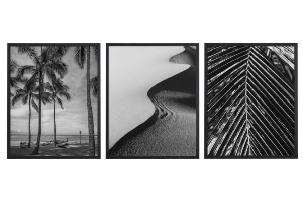 Set of framed posters Monochrome tropics 42x52 cm