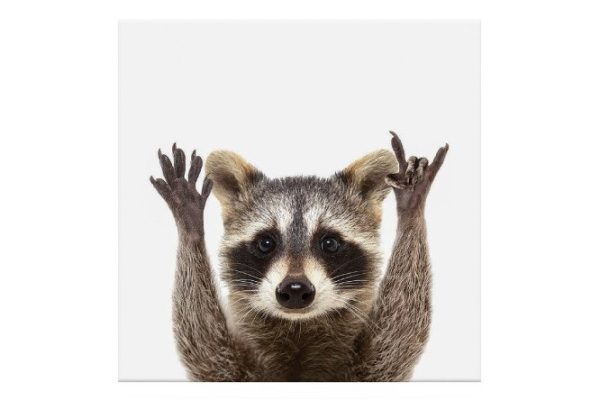 Canvas Idea 30x30 cm