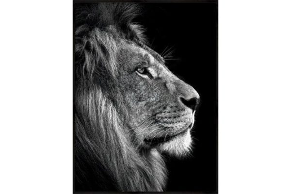 Canvas in frame CF-90 01 90x120 cm