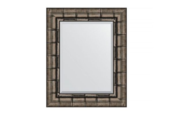 Wall mirror with bevel in a baguette frame EVOFORM BY 1358 silver bamboo 43x53 cm