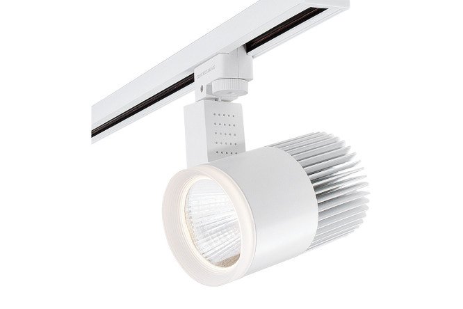 Ceiling lamp ELEKTROSTANDARD Accord