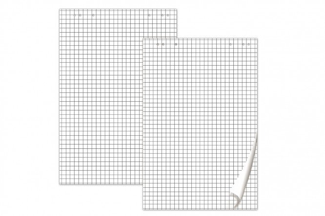 Notepad for flipchart BRAUBERG Cage 67.5x98 cm