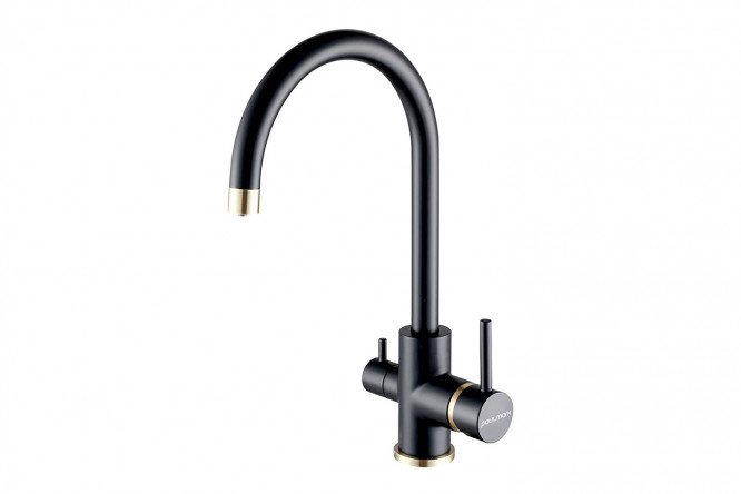 Kitchen mixer PAULMARK Essen Es213211-401BR