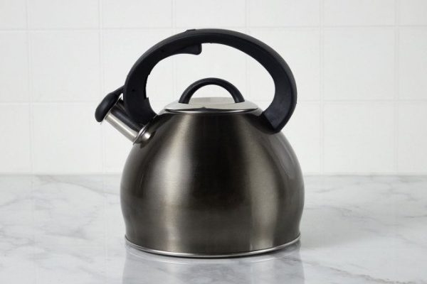 Kettle with whistle Titan 3 l