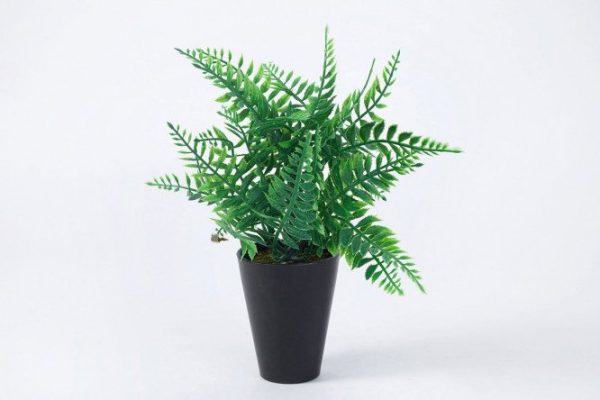 Artificial plant Fern 25 cm