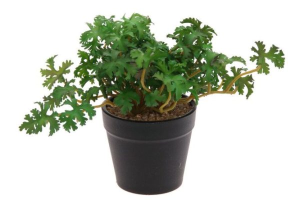 Flower arrangement 795691 15x15 cm