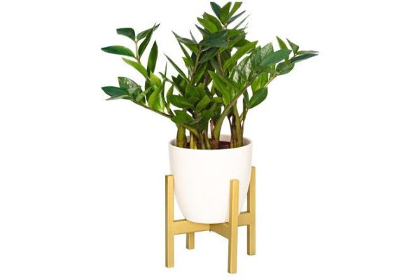 Stand for indoor plants Oxalis 20x20x20 cm, 1 tiers, Floor-standing
