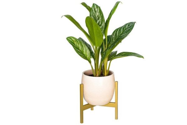 Stand for indoor plants Trinity 25.5x25x23 cm, 1 tiers, Floor-standing
