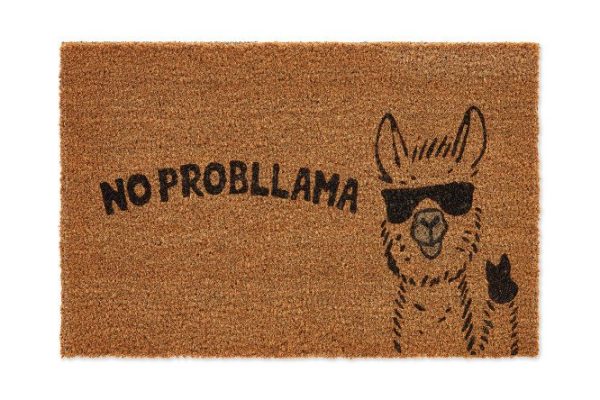 Door mat Hall No problem 40x60 cm