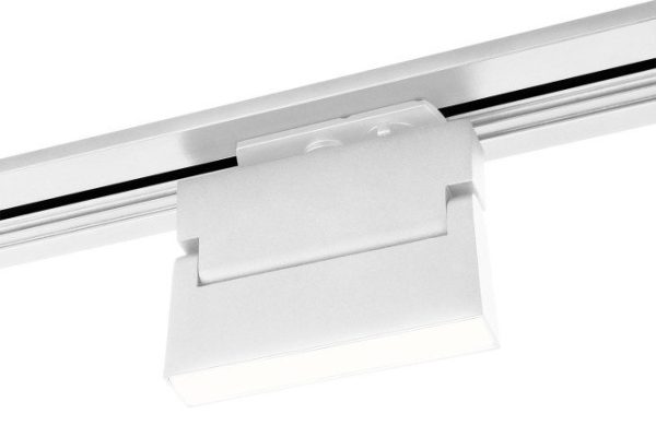 Ceiling lamp ELEKTROSTANDARD Arda