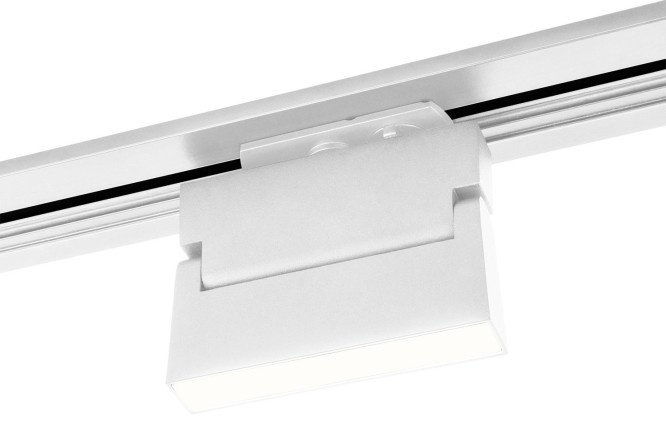 Ceiling lamp ELEKTROSTANDARD Arda