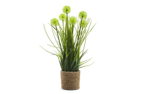 Artificial plant Onion flower in a wicker pot 19x19 cm