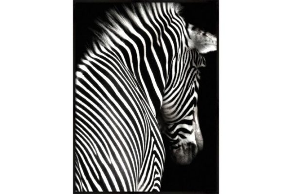 Canvas in frame CF-90 03 90x120 cm