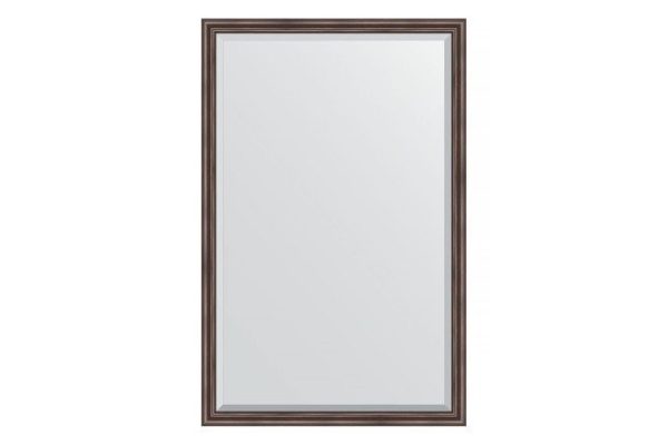 Wall mirror with bevel in a baguette frame EVOFORM BY 1214 rosewood 111x171 cm