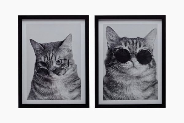 Set of framed posters Animals 32x42 cm