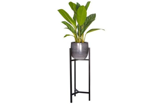 Stand for indoor plants Trinity 60 24x60x22 cm, 1 tiers, Floor-standing