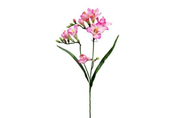 5z2lsi9znxalrgx71hyfi2937384duyd.jpg Artificial plant Freesia 65 cm