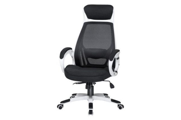 Executive office chair DOBRIN Steven White