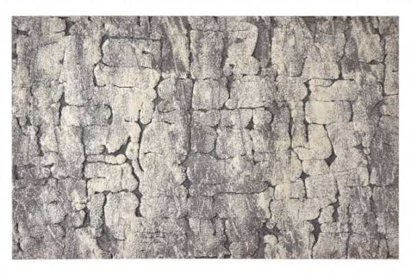 615b8c58d6b69e5e079c930fbf824801.jpg Messi rug 200x300 cm