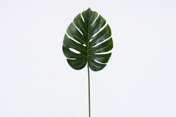 Artificial Monstera flower 27x4 cm