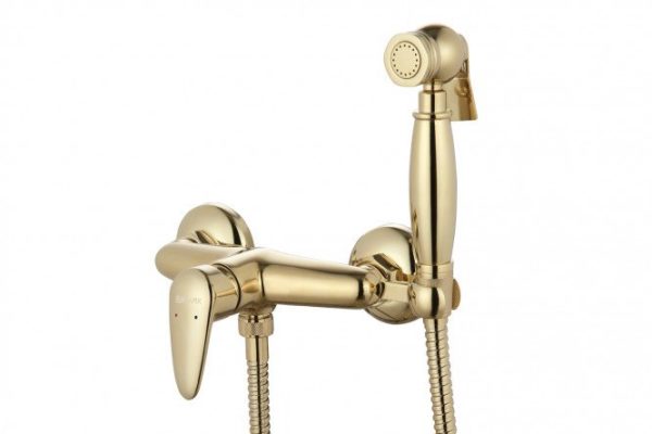 Bidet mixer LEMARK Pramen LM3318G
