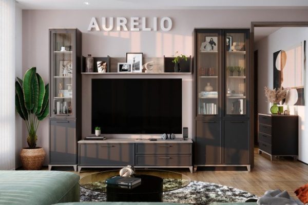 Living room Aurelio anthracite, blackwood satin, set 4