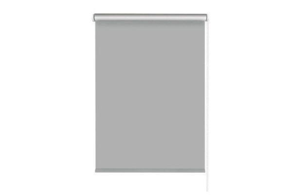 Roller blind Silverback color grey, 150x170 cm