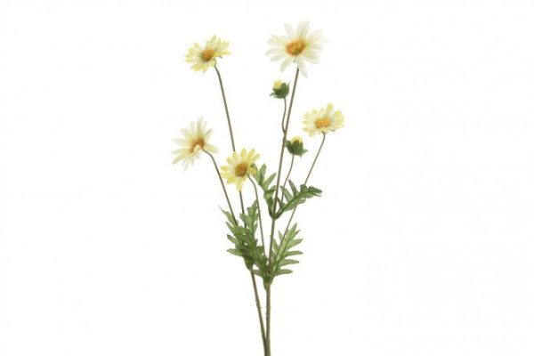 76e6f7c13d9e498a1894f66c396a31aa.jpg Artificial plant Chamomile