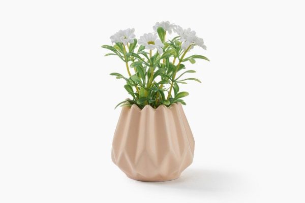 7da032025d6ccebf68c75cf4bab74e84.jpg Artificial plant in a ceramic pot Daisy 10x10 cm