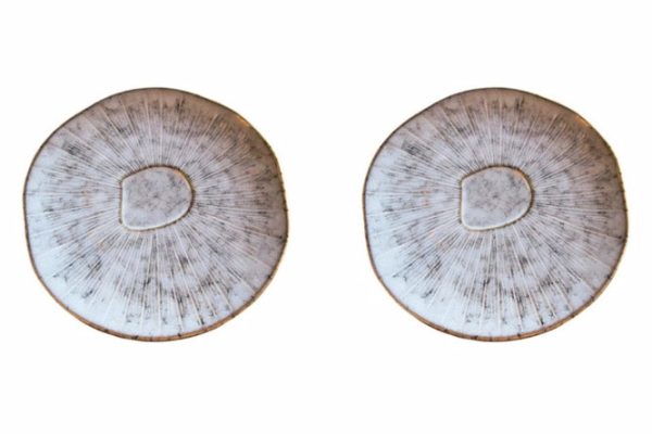 Set of flat plates HOMIUM Kitchen Ceramics, 2 pcs.