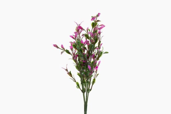 7q165v7sau190wt8dgksg27y10w2z37z.jpg Artificial flower Small flower 7x7 cm