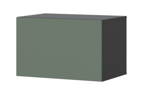 Cabinet Oscar Moon 60x40 with door, anthracite / olive soft
