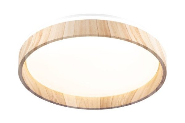 Lamp CITILUX Enzo 16 sq.m., LED, 39 cm