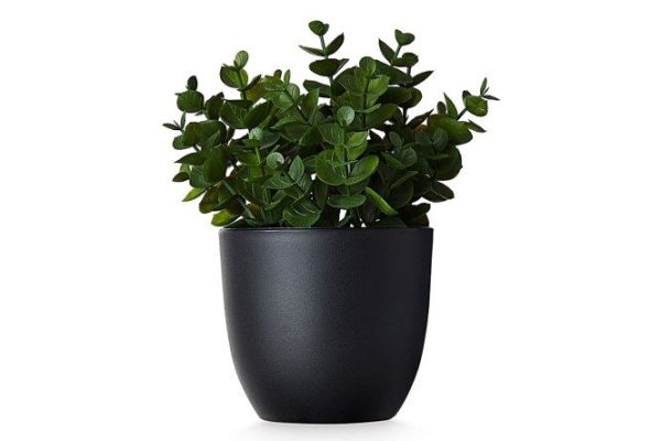 Artificial plant Eucalyptus in a plastic pot 18x18 cm