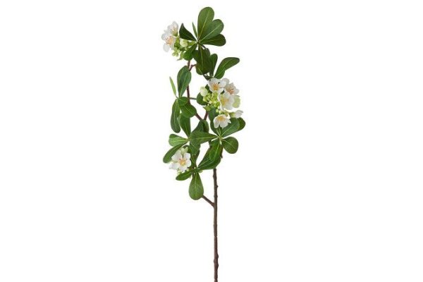 Artificial plant Pittosporum 23x14 cm