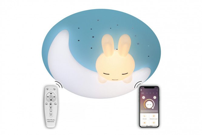 Ceiling lamp Natali Kovaltseva Led Lamps 20 sq.m., LED, 48 cm