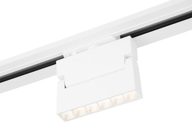 Ceiling lamp ELEKTROSTANDARD Garda