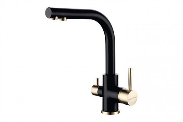 Kitchen mixer PAULMARK Essen Es213011-401BR