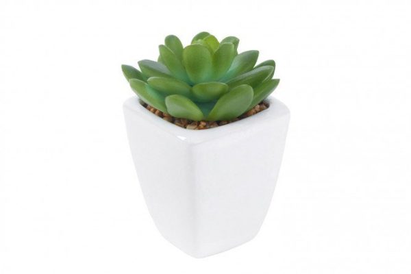 Artificial plant Succulent 10 cm