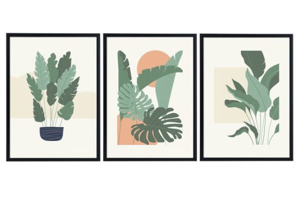 Set of posters in frame Plants 52x72 cm
