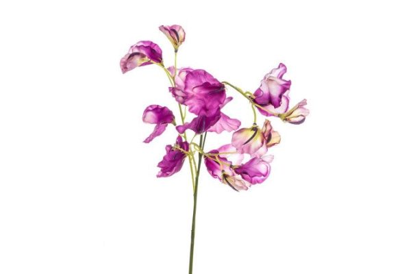 ae8d8p3uzikszunw30t48zsl0rknqpvj.jpg Artificial plant Sweet pea 75 cm assorted