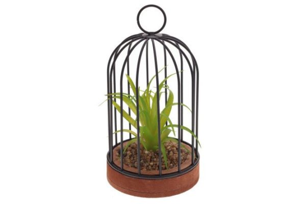 b3qxvr9zv9td185owfung31psh1zwe1p.jpg Flower arrangement 789658 12x12 cm