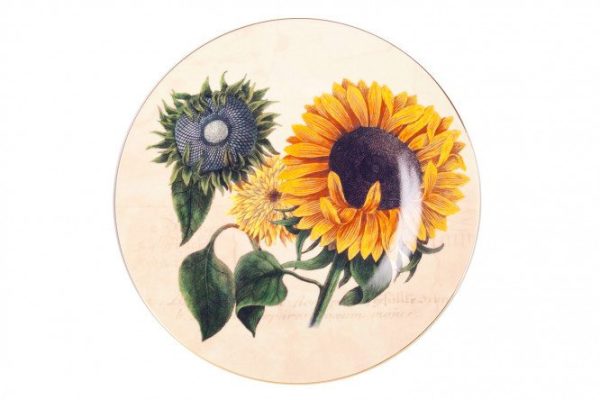 Wall plate THUN 1794 P177TH Porcelain
