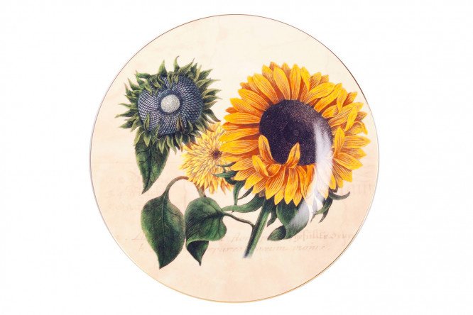 Wall plate THUN 1794 P177TH Porcelain