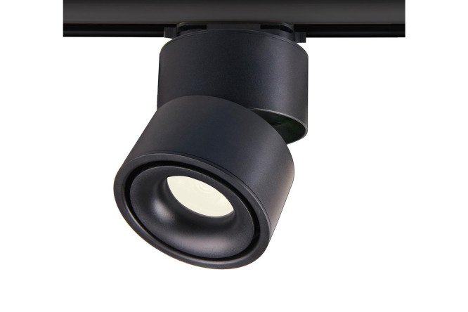 Ceiling lamp ELEKTROSTANDARD Klips